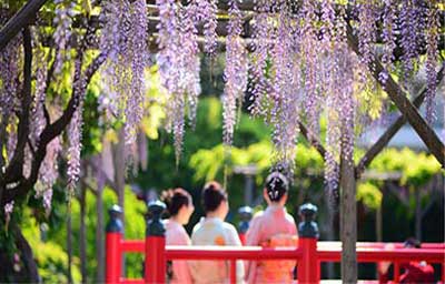 Tháng 5 ghé thăm những cõi tình