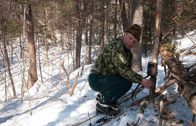 Dịch vụ ngủ cùng hổ ở Nga