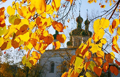 Mùa thu nhuộm sắc vàng ở nước Nga