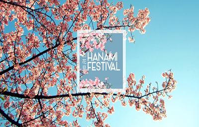 Hoa anh đào, hy vọng về khởi đầu mới