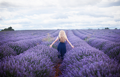 Những kinh nghiệm nhỏ khi tham quan thành phố Provence