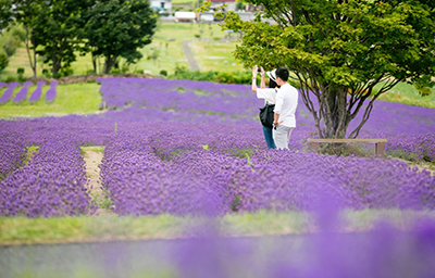 Ghé thăm thiên đường Hokkaido