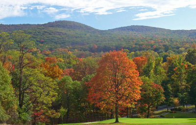 Khám phá Black Forest