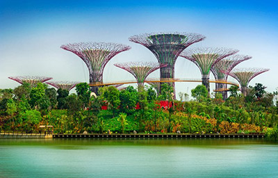 Vườn bên vịnh - Gardens by the Bay