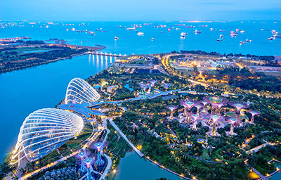 Cách khám phá Vườn bên vịnh - Gardens by the Bay trọn vẹn và đầy đủ nhất 