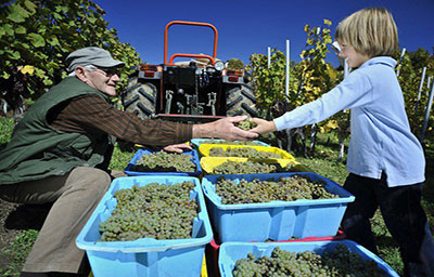 7 điều về Croatia khiến ai cũng yêu mến đất nước và con người nơi này 