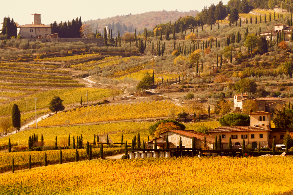 Một thoáng bình yên vùng đất Tuscany (Ý) 