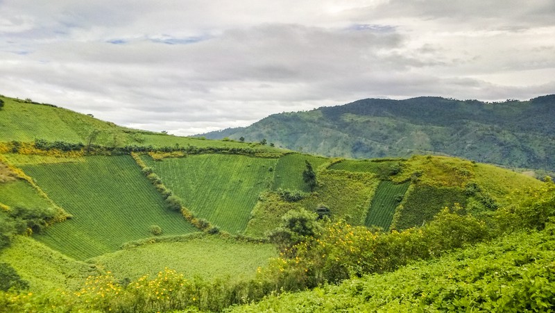 nui-lua-chu-dang-yah