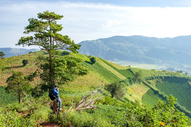 nui-lua-chu-dang-yah