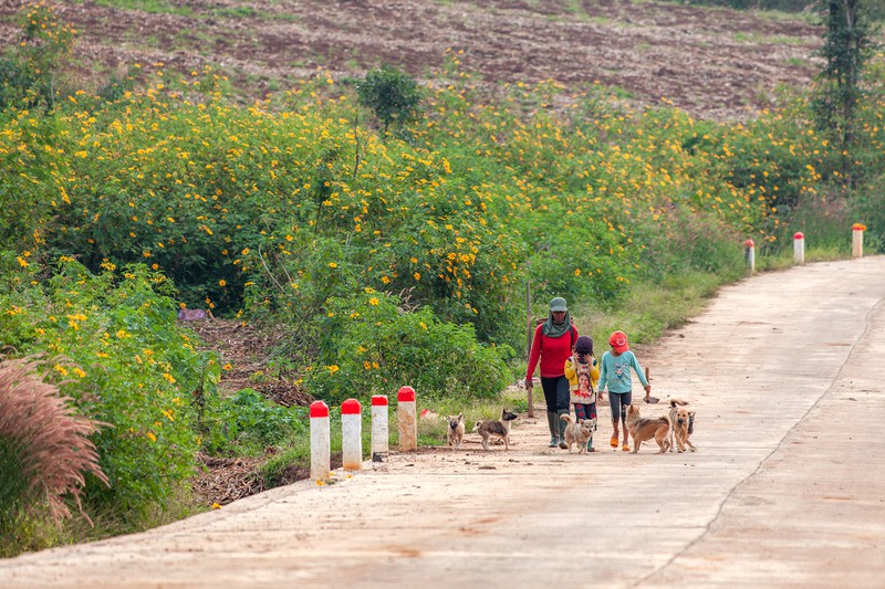 nui-lua-chu-dang-yah