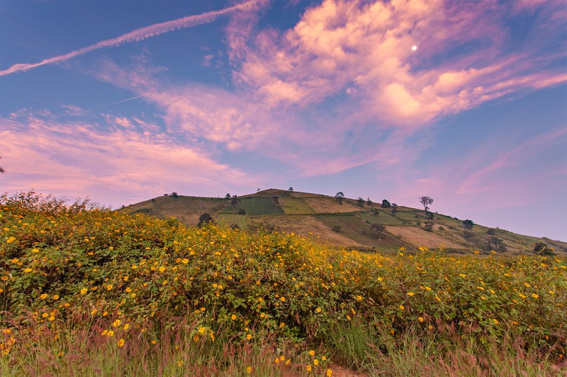 nui-lua-chu-dang-yah