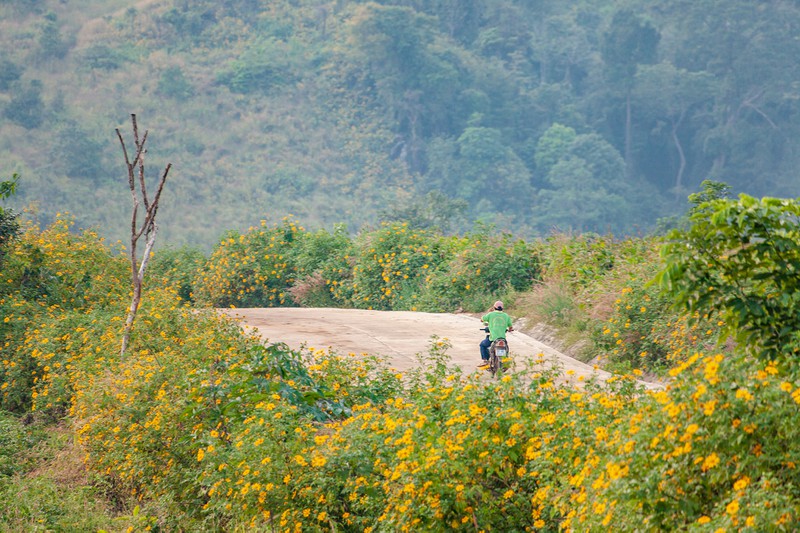 nui-lua-chu-dang-yah