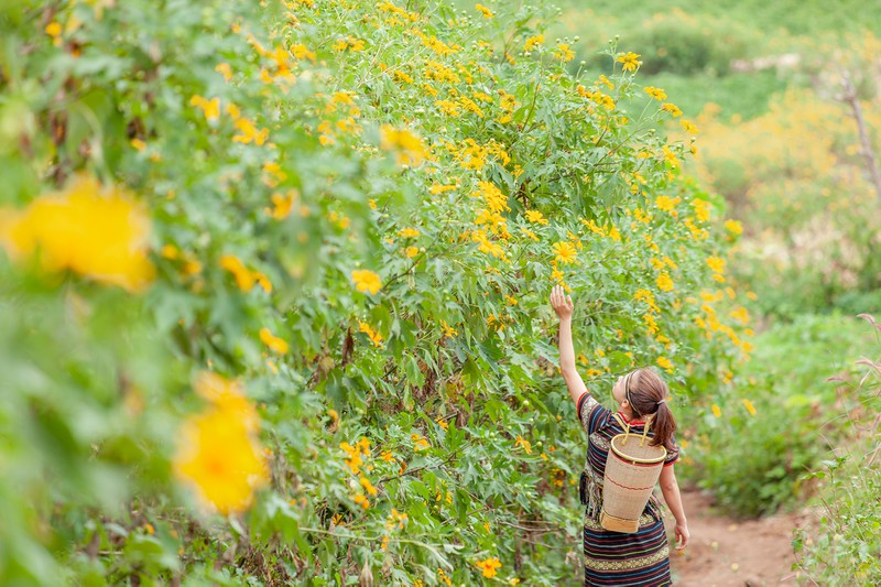 nui-lua-chu-dang-yah